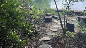A natural outdoor area with a stone pathway leading to a body of water, surrounded by dense foliage. - Mountain Home Dog-friendly Getaway (Cashiers)