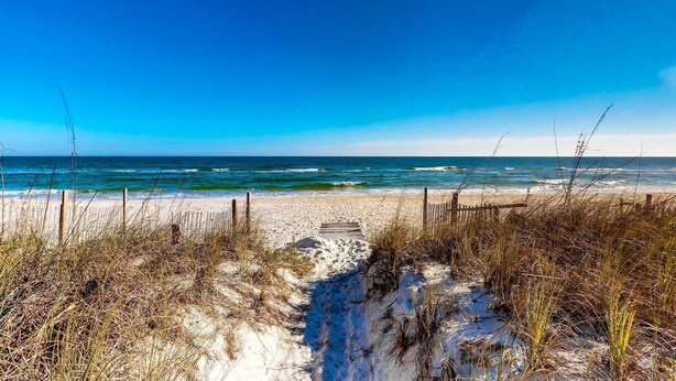 En sandstrand med en träpromenad som leder ner till havet, omgiven av högt gräs.