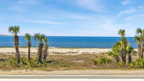 Ein Strand mit Palmen und wolkenlosem, blauem Himmel.