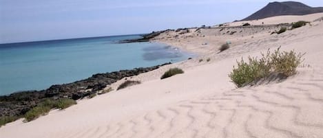 Playa