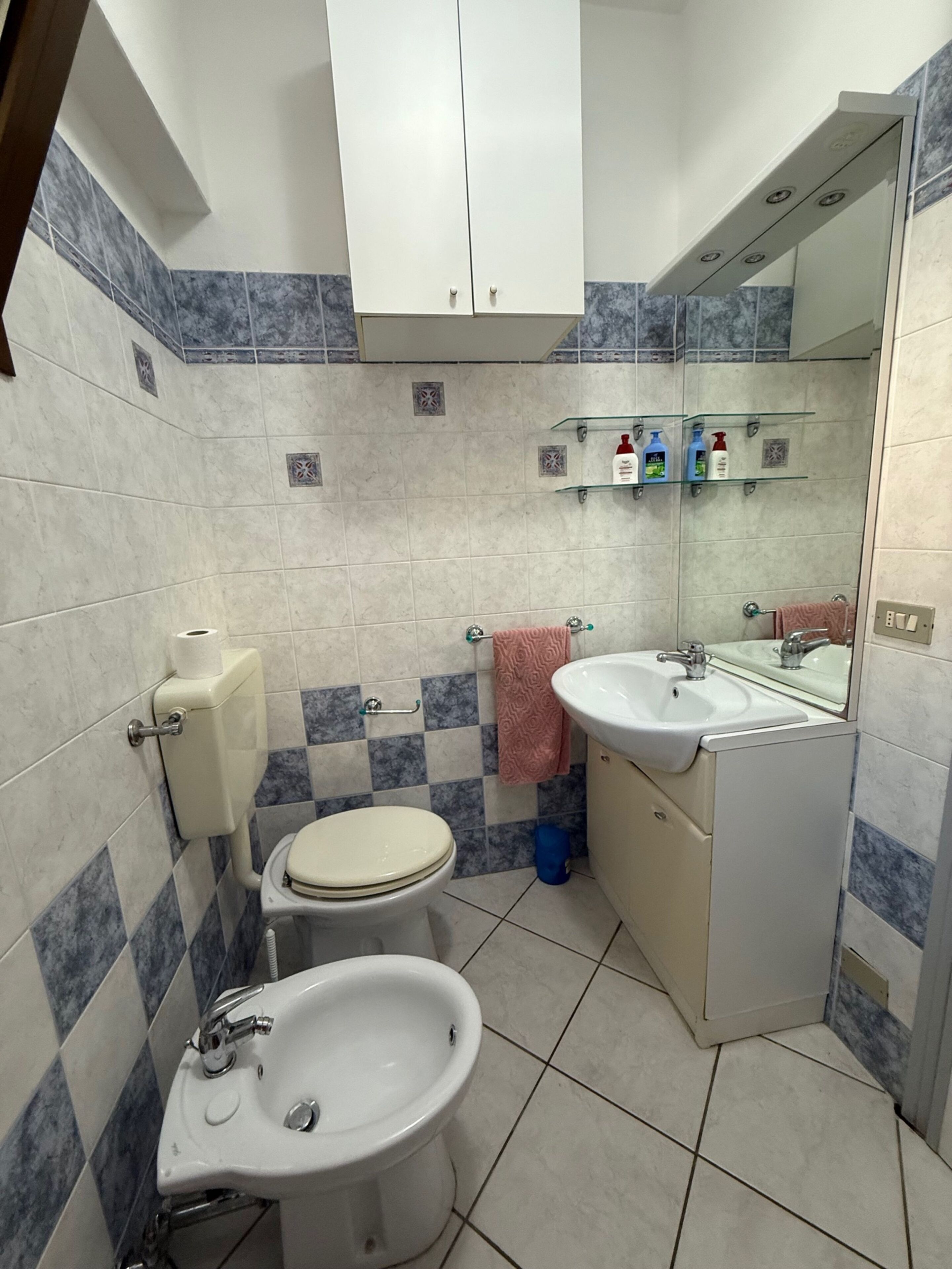 Ein Badezimmer mit Toilette, Bidet, Waschbecken und Spiegel. Regale mit Pflegeprodukten und ein Handtuch hängen an der Wand.