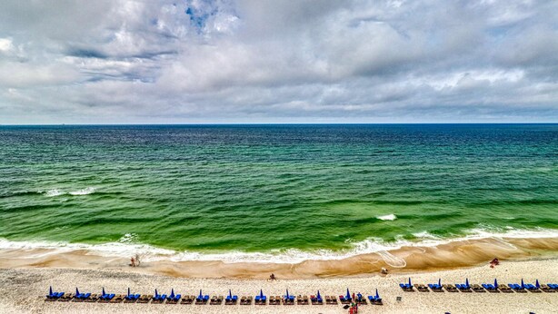 Una playa con hileras de sombrillas azules y tumbonas a lo largo de la orilla.