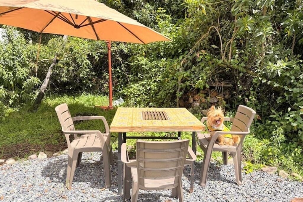 Opções para refeição ao ar livre