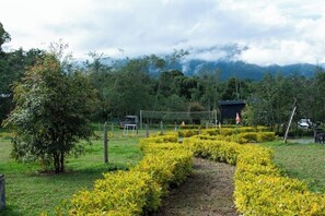 A garden with a pathway, neatly trimmed bushes, and a small building in the background.