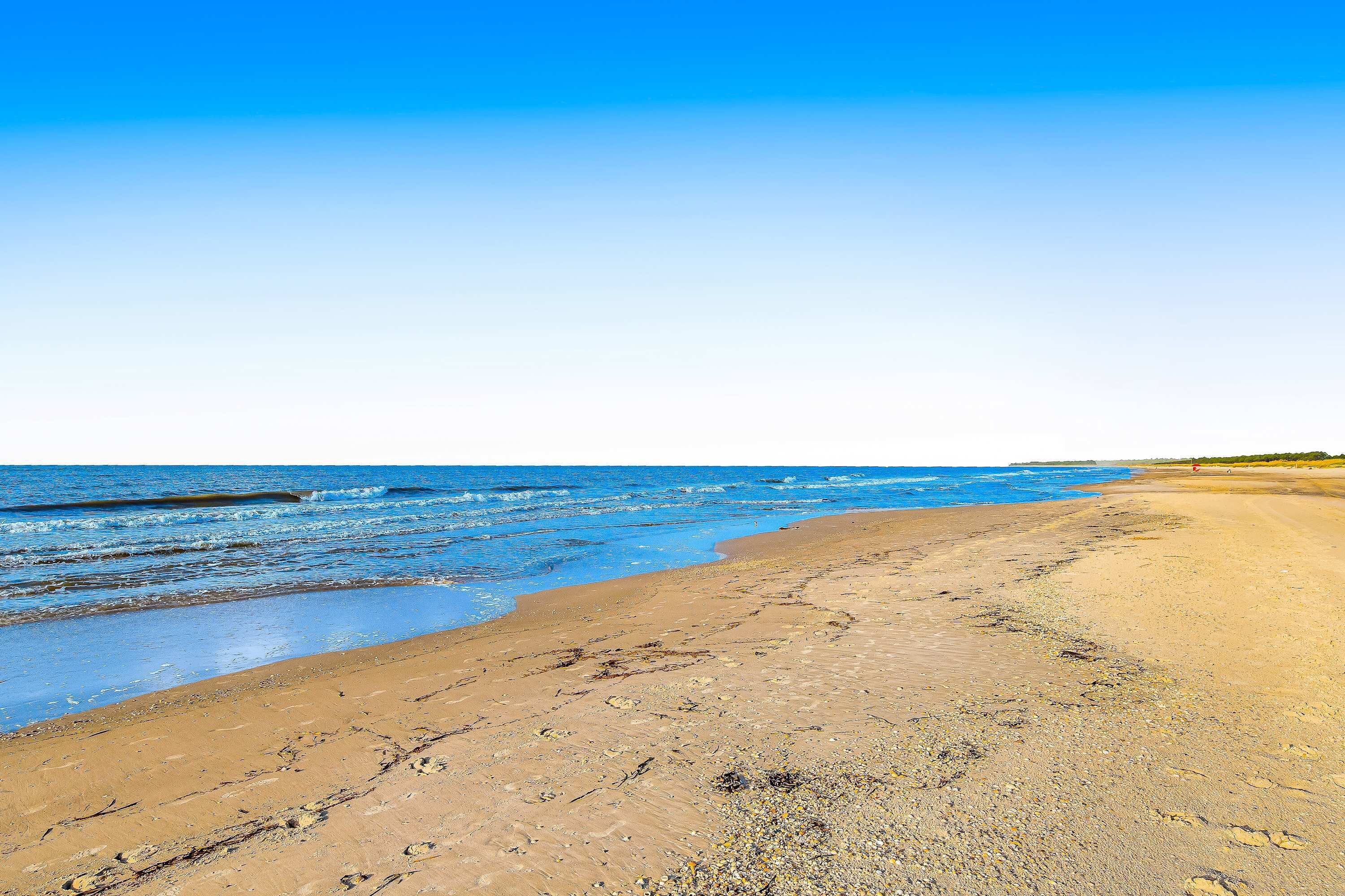 Une plage de sable où l’on peut voir des empreintes et des algues, qui s’étend jusqu’à l’océan sous un ciel bleu dégagé.