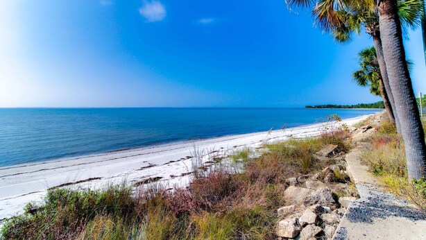 Ein Strand mit weißem Sand, klarem, blauem Wasser und einer Palme.