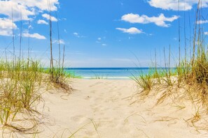 A sandy beach path leading to the ocean with tall grasses on either side. - Cozy coastal studio with shared pool, beach access and close to everything! (Miramar Beach)