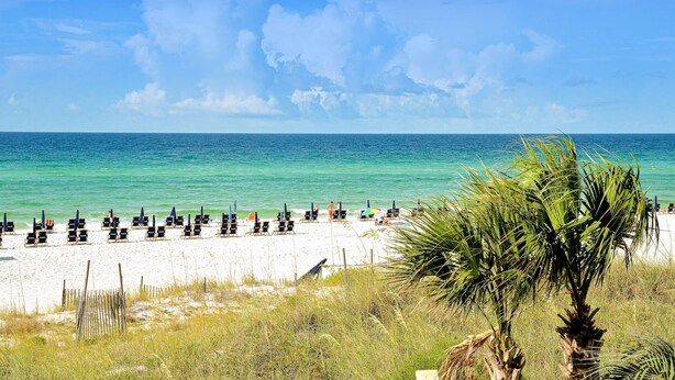 A beach with rows of beach chairs and umbrellas, palm trees, and the ocean. - Dreamy coastal condo w/ ocean view on-site pool, hot tub & easy beach access (Miramar Beach)