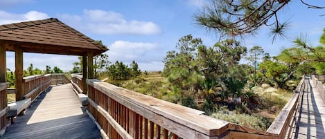 Enceinte de l’hébergement