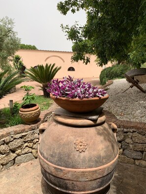 Immagine non classificata, 4 di 18, pulsante