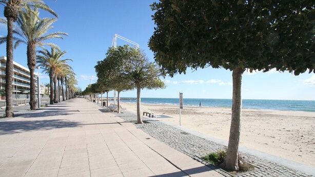 Ein Küstenweg, gesäumt von Palmen, mit einem Strand im Hintergrund.