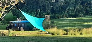 Niet-geclassificeerde afbeelding, 4 van 15, knop