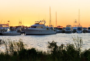 Un puerto deportivo con varios yates amarrados al atardecer.