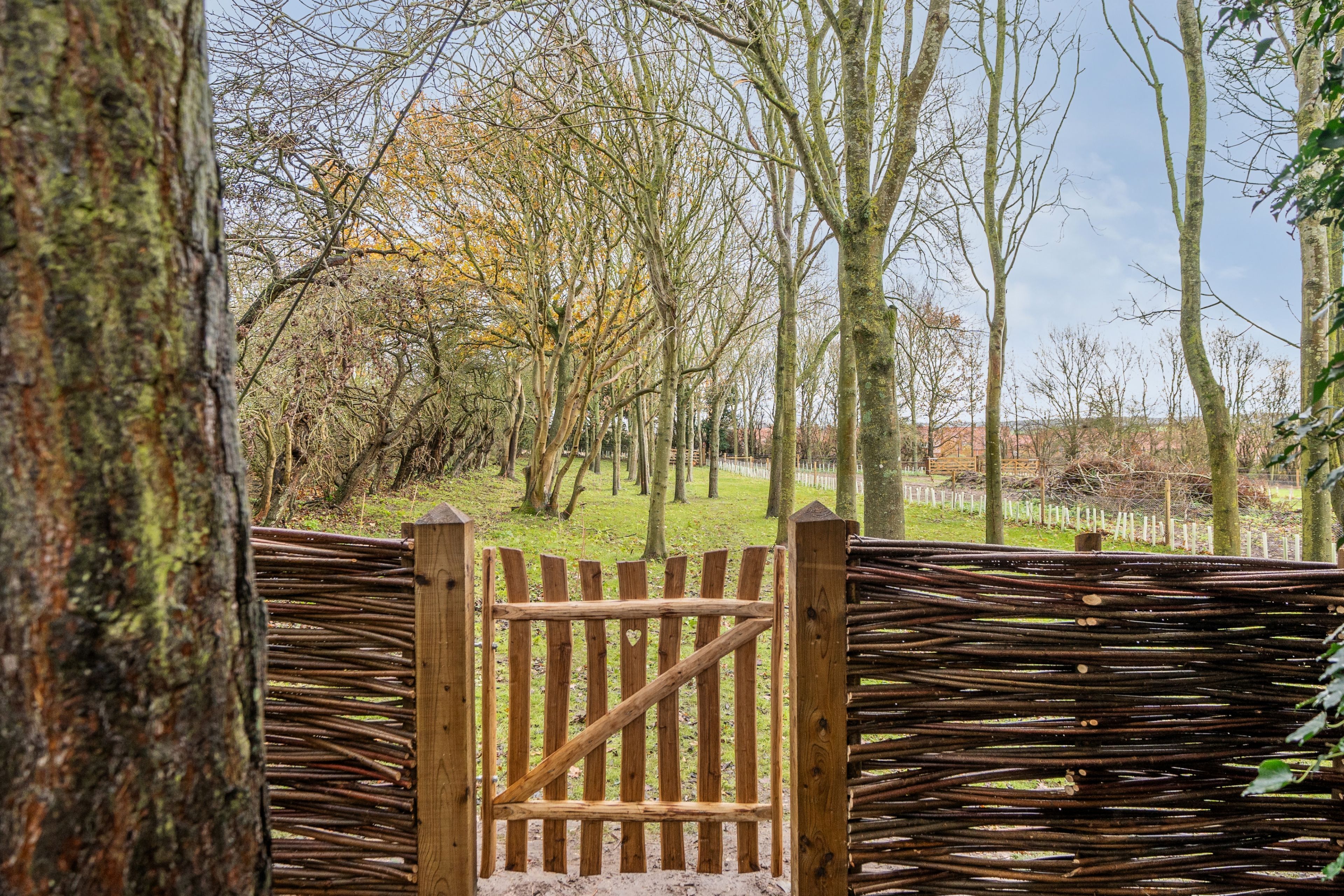 Enceinte de l’hébergement