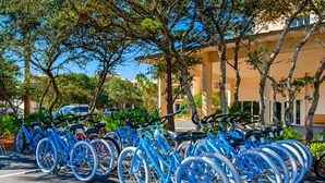 A row of blue bicycles parked in a lot with trees and a building in the background. - Gorgeous condo with lagoon pool, hot tub, beach access & pickleball court! (Seacrest)