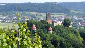 Billede uden beskrivelse, 5 af 11, knap