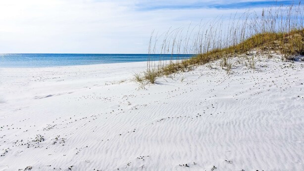 A beach with white sand and sparse vegetation. - Beachside Villas | 1st Floor Condo | 6-min Walk to Beach | Pools (Santa Rosa Beach)