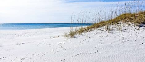 Plage à proximité