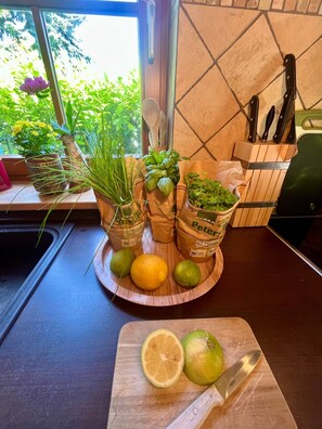 Unclassified image, 4 of 37, button - Chalet 'Ladolcevital in Tyrolean Timber House' with Valley View & Private Sun Terrace by the Forest (Bad Elster)