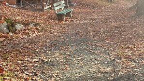 Une structure rustique en bois, surmontée d’un toit en métal, avec un banc et un sentier recouvert de feuilles mortes.
