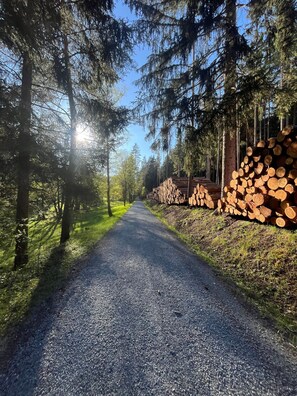 Nicht klassifiziertes Bild, 3 von 37, Schaltfläche