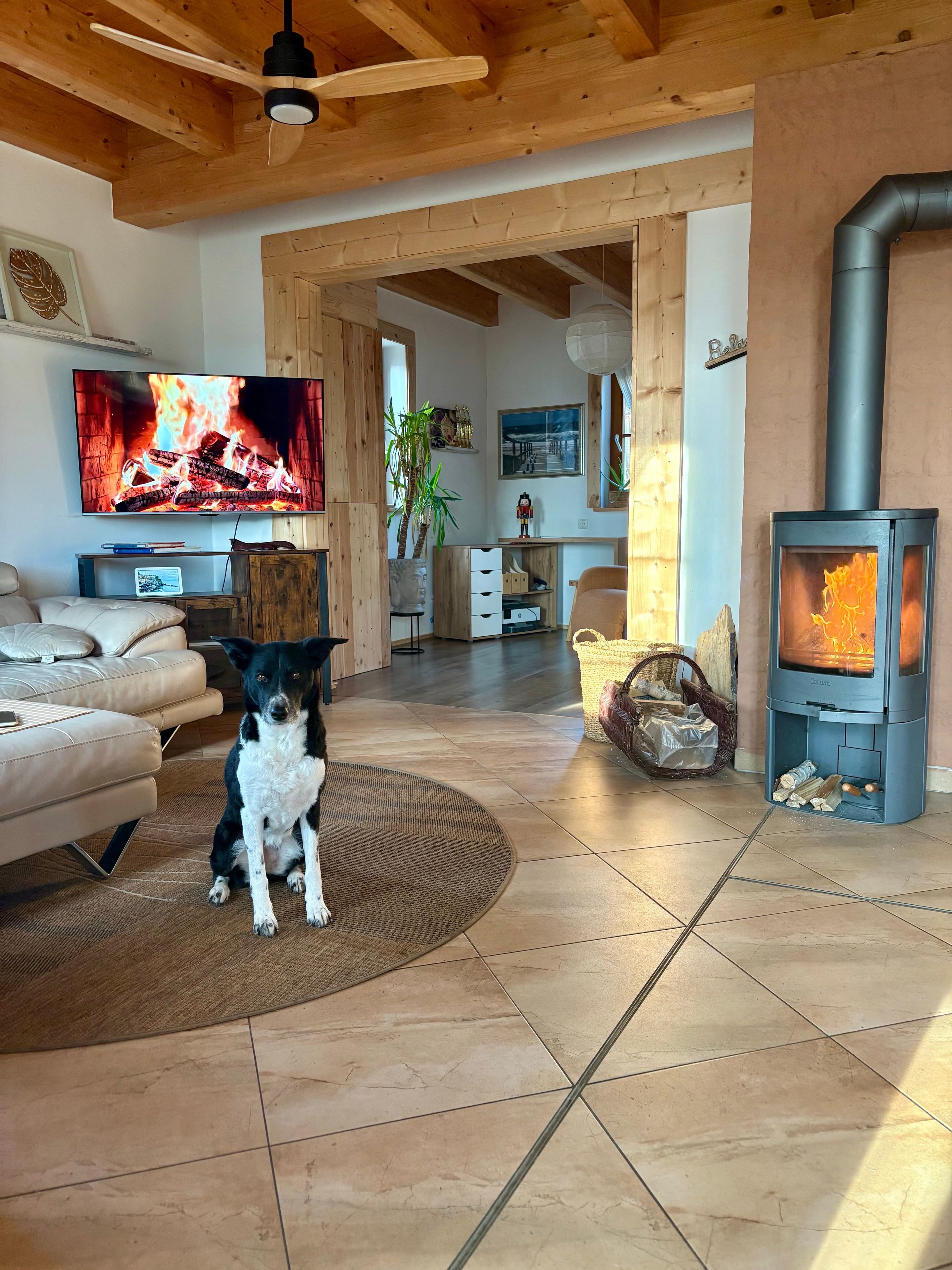 Una sala de estar acogedora con un perro, una chimenea, un televisor y un techo de madera.