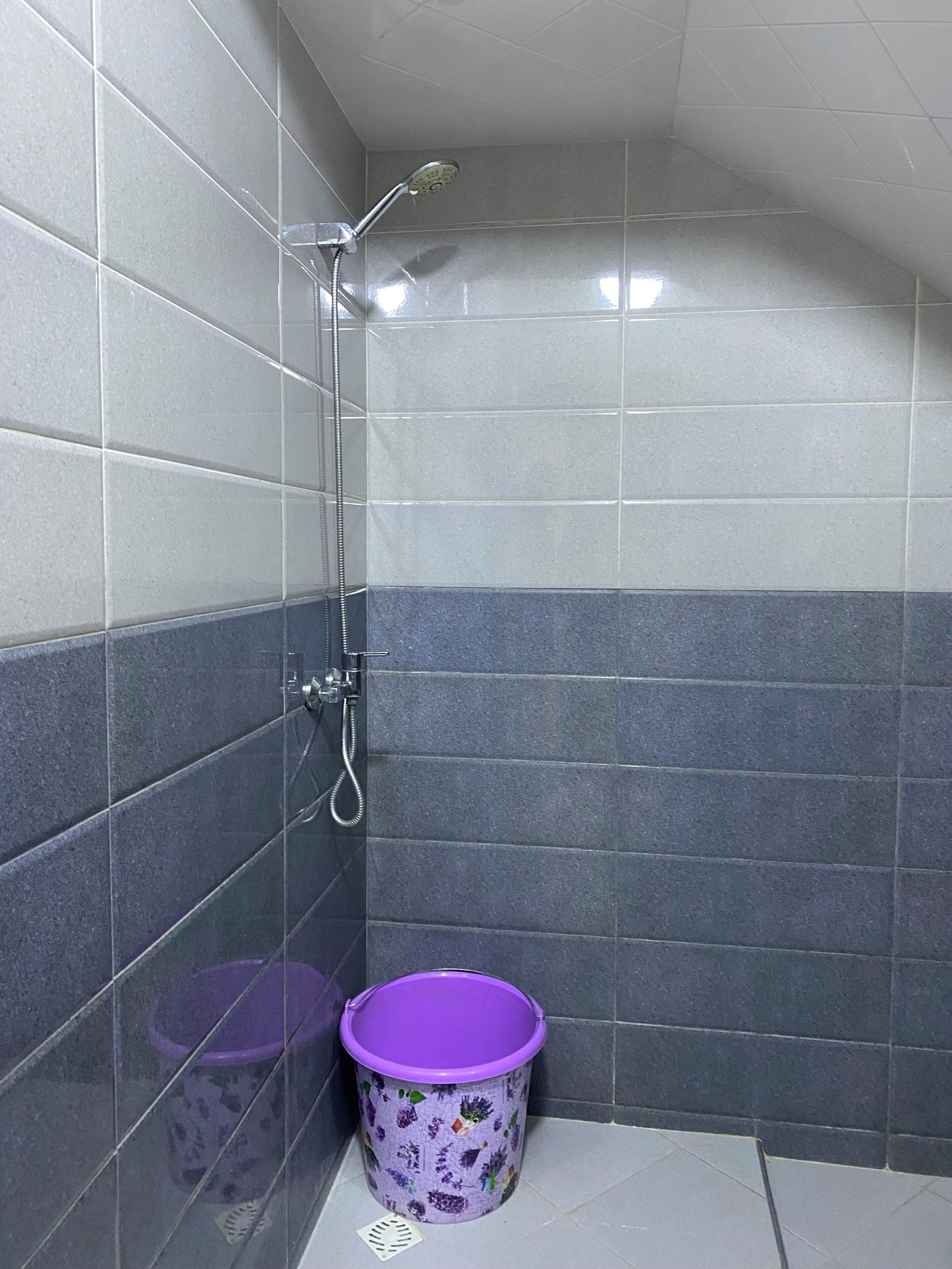 Ducha, toallas, jabón, papel higiénico