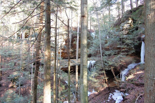 A forested area with a rocky cliff and a small waterfall. - Chateau-Harvest Moon Cottages - 00088 (Rockbridge)