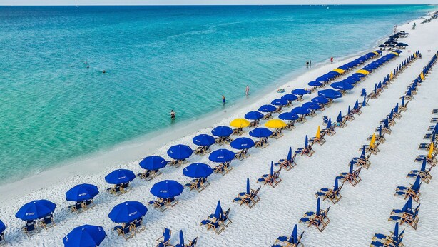 Une plage bordée de rangées de parasols bleus et jaunes et de chaises longues.