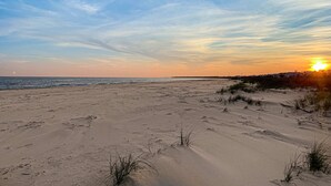 A beach with sand dunes and sparse vegetation. - Beachfront home with screened porch with boardwalk access to pool (Cape San Blas)