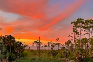 Miscellaneous - Dog-friendly ocean-view house with central AC & washer/dryer - snowbird-friendly (St. George Island)
