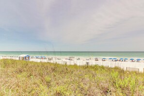 Playa en los alrededores