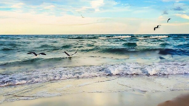 Een strand met golven en vogels die boven het water vliegen.