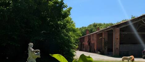 Áreas de la propiedad