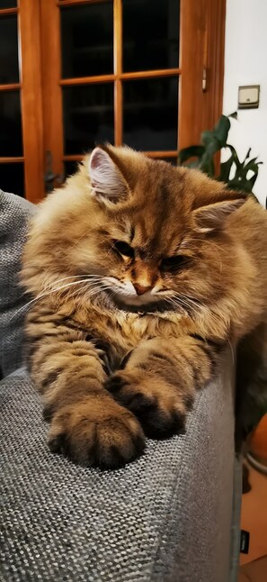 Unclassified image, 4 of 69, button - Nature Escape Near Toulouse – Charming Farm Cottage by the Canal du Midi (Castanet-Tolosan)