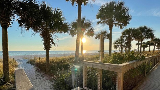 A wooden boardwalk leading to a beach with palm trees and a view of the ocean. - Beachfront Townhouse w/ Modern Upgrades Shared Pool, Fast WiFi, Outdoor Shower (Panama City Beach)