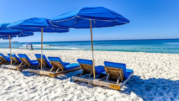 A beach with rows of blue lounge chairs and umbrellas, numbered 1469 and 1470, facing the ocean. - Wonderfully decorated Gulf-view condo | Pool | Hot tub (Panama City Beach)
