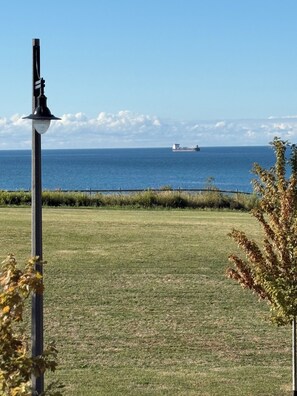 Oklassificerad bild, 5 av 12, knapp