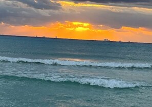 Oklassificerad bild, 3 av 12, knapp