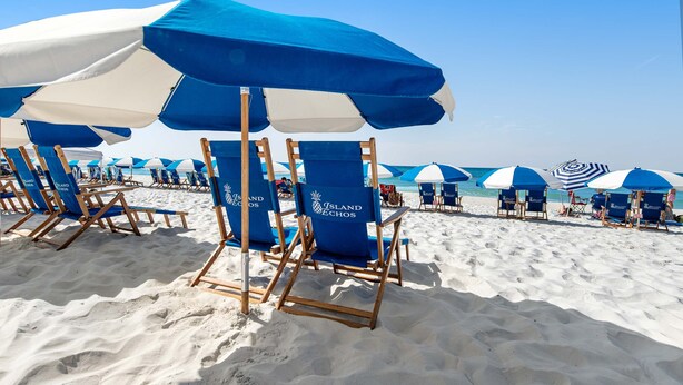 Sillas y sombrillas dispuestas sobre una playa de arena.