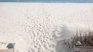 在海滩