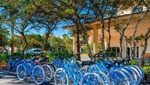 A row of blue bicycles parked in a lot with trees and a building in the background. - Beachfront condo with 2 beach chairs included & pickleball - short walk to dining (Seacrest)