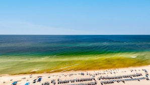 Una playa con filas de tumbonas y sombrillas, cielo despejado y el océano.