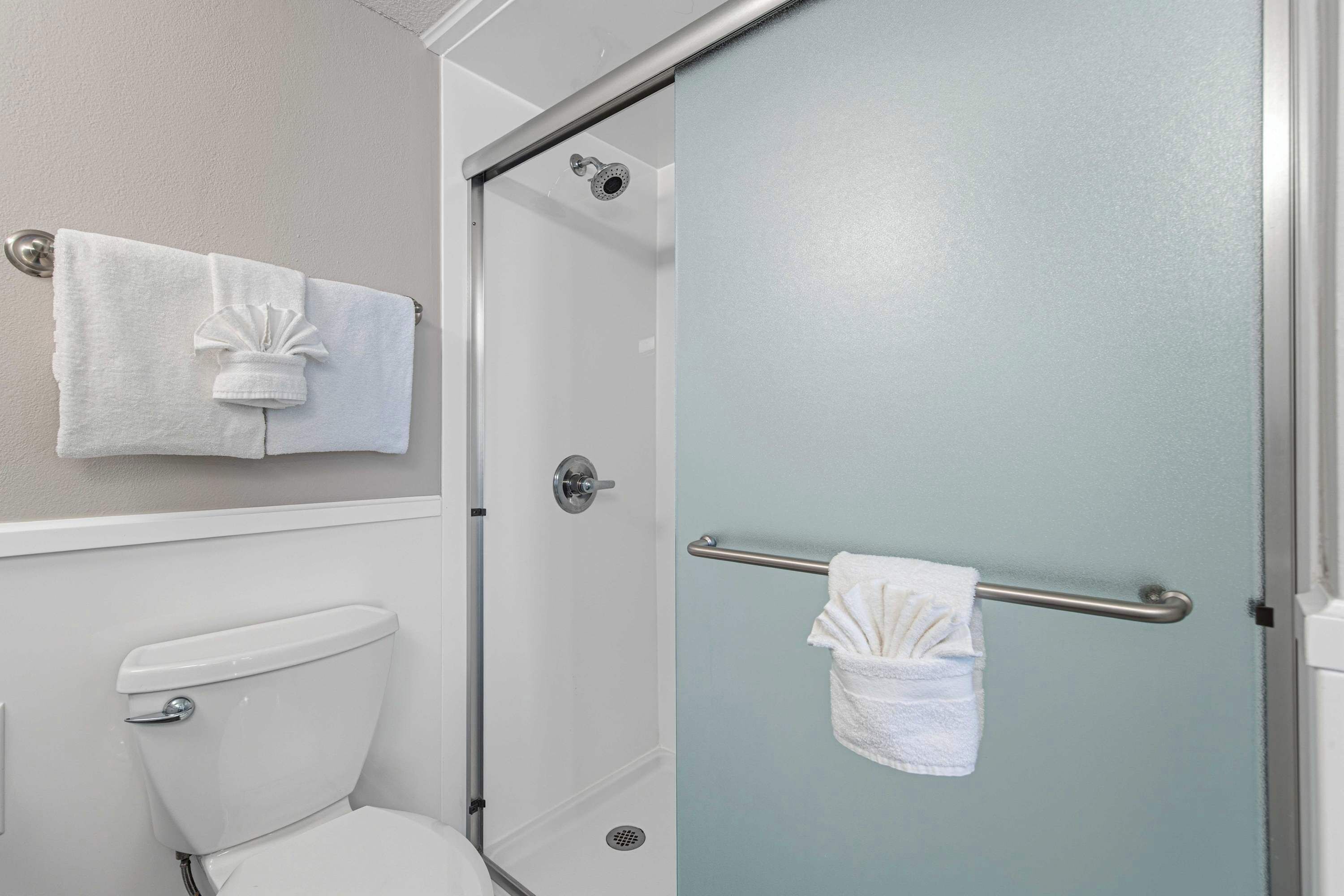 A bathroom with a toilet, a glass shower enclosure, and a towel rack.