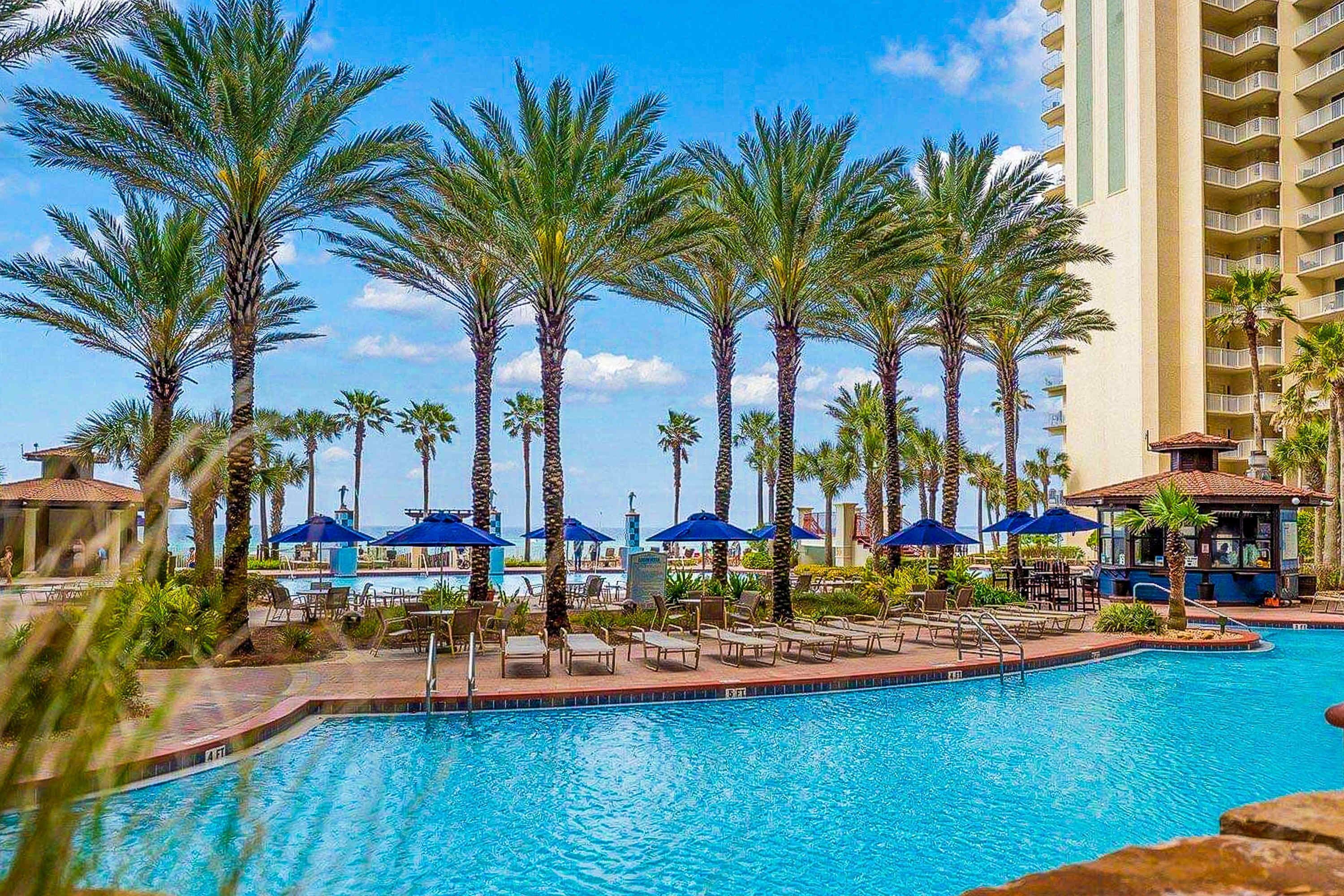 A swimming pool surrounded by palm trees and lounge chairs, with a tall building in the background.