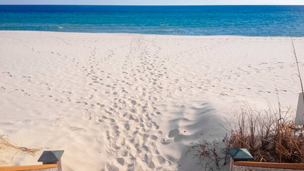 Una playa arenosa con huellas que conducen al agua, una valla de madera y un cielo azul despejado.