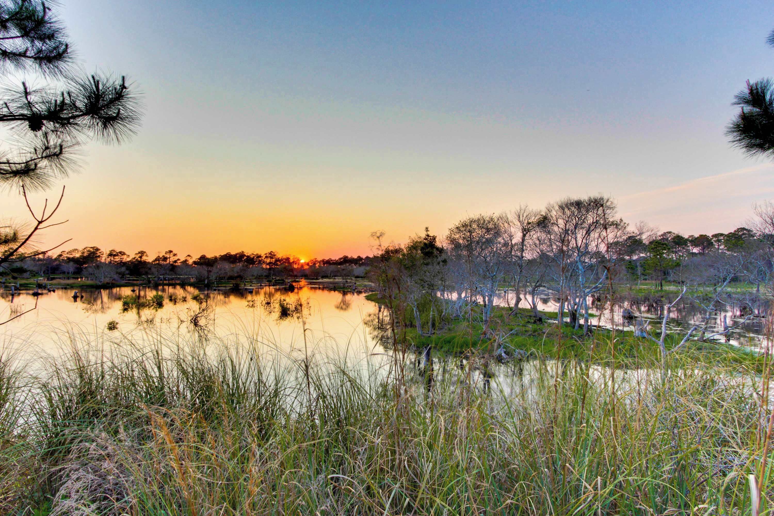 A serene lakeside view with trees and a sunset.