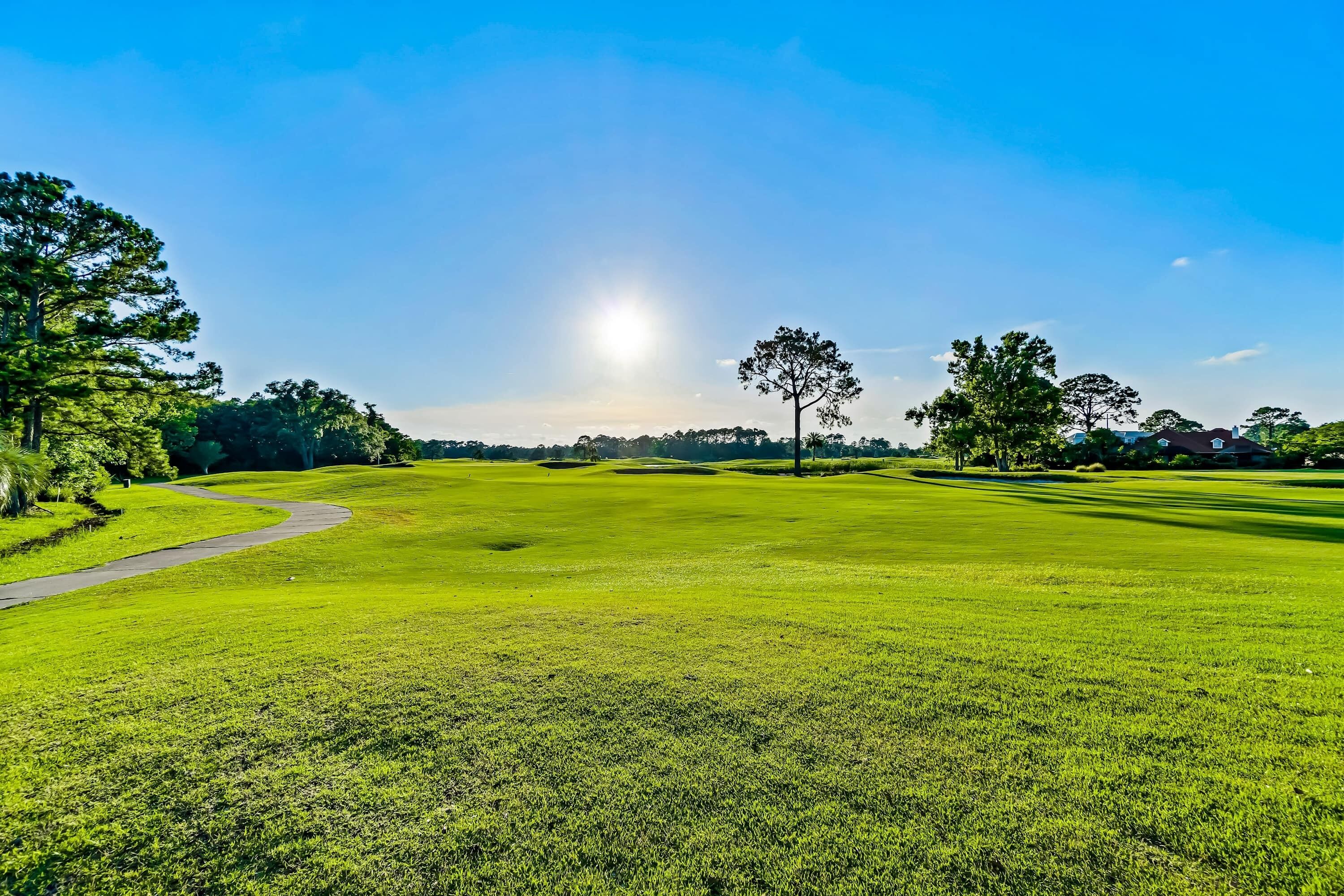 Ein Golfplatz mit einem gewundenen Weg, Bäumen und blauem Himmel.