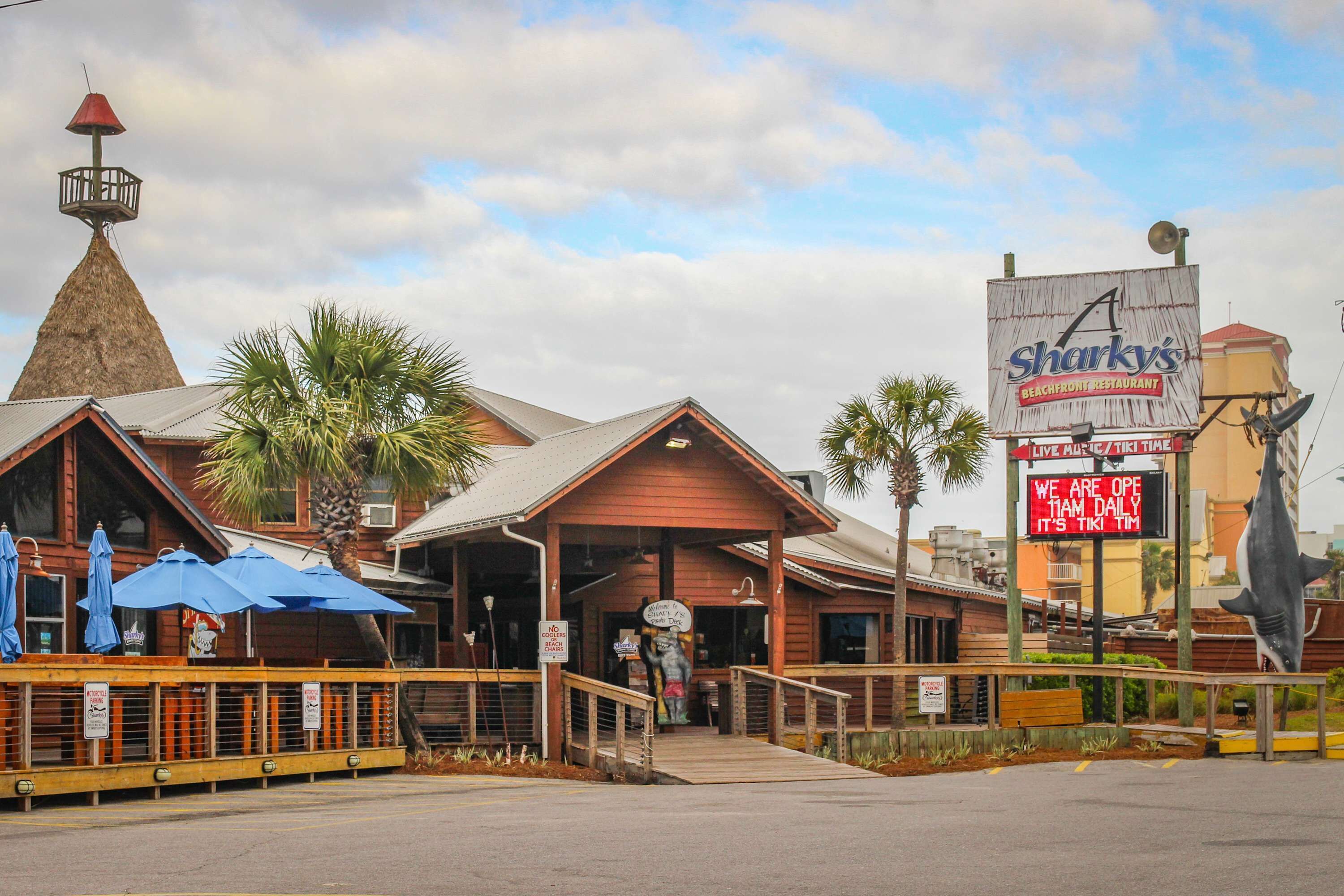 A beachfront restaurant with a prominent shark statue, a wooden building with a conical roof, and a sign advertising live action and daily operations.