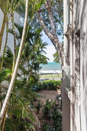 Property grounds - Yasmin at Coral Horizons: Retro Vibes on the Beach (Palm Cove)